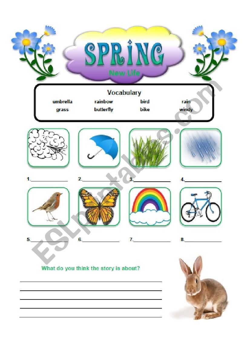 Spring Story with Questions worksheet