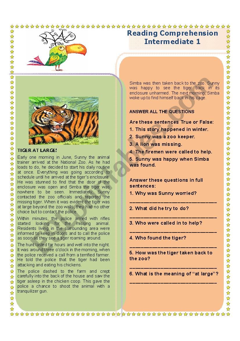 Reading Comprehension  worksheet