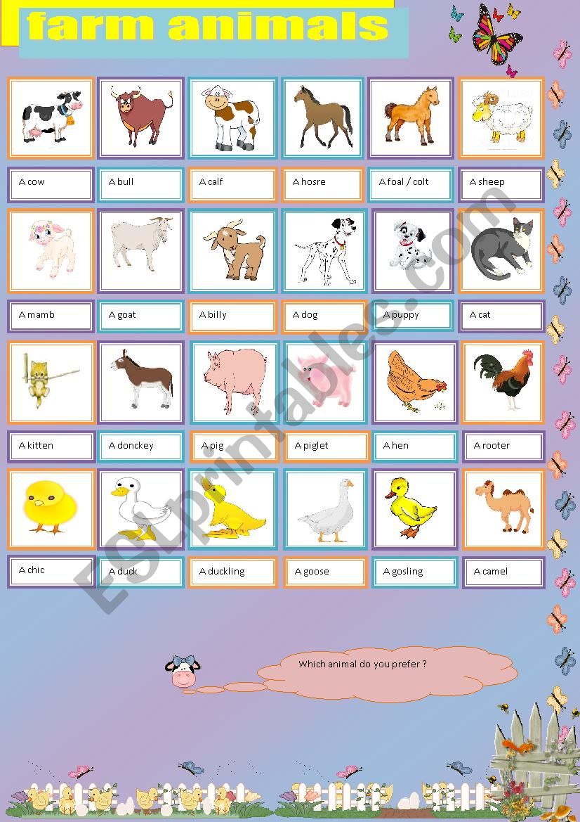 farm animals  worksheet