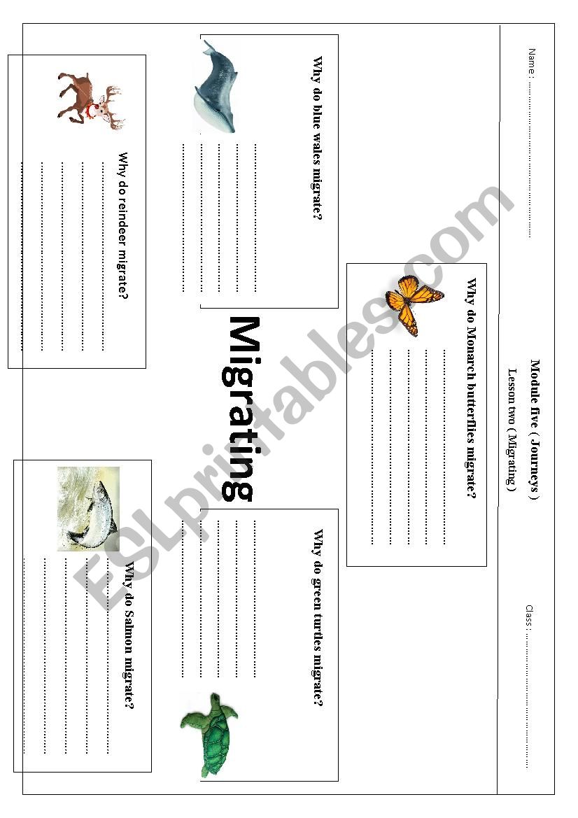 migrating worksheet