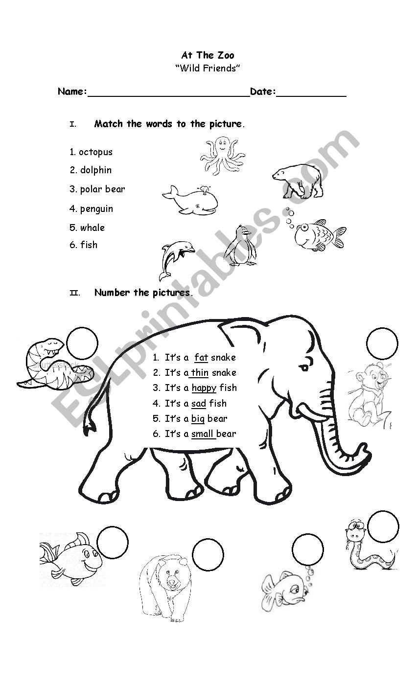 At The Zoo worksheet