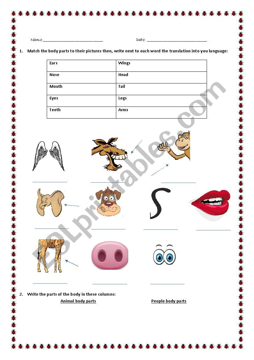 Animal body parts worksheet