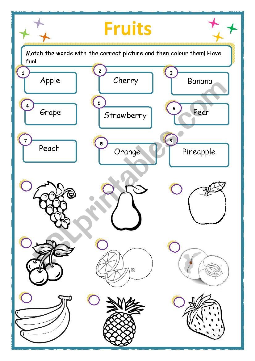 Fruits worksheet worksheet