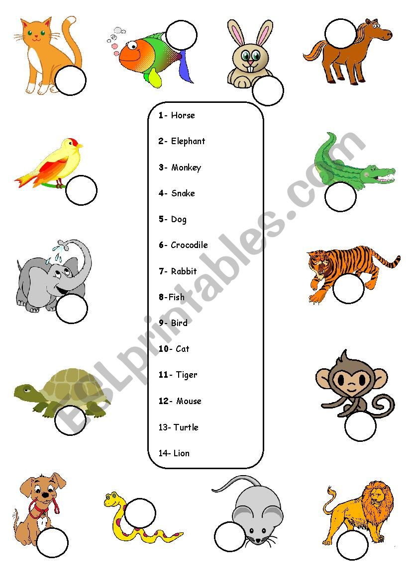 Animals - Matching worksheet