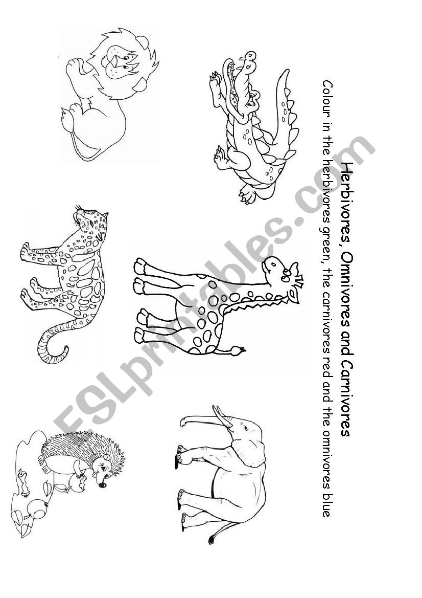 Wild Animals worksheet