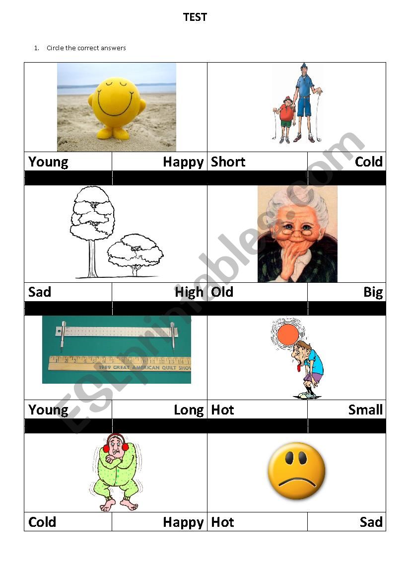 Adjectives worksheet