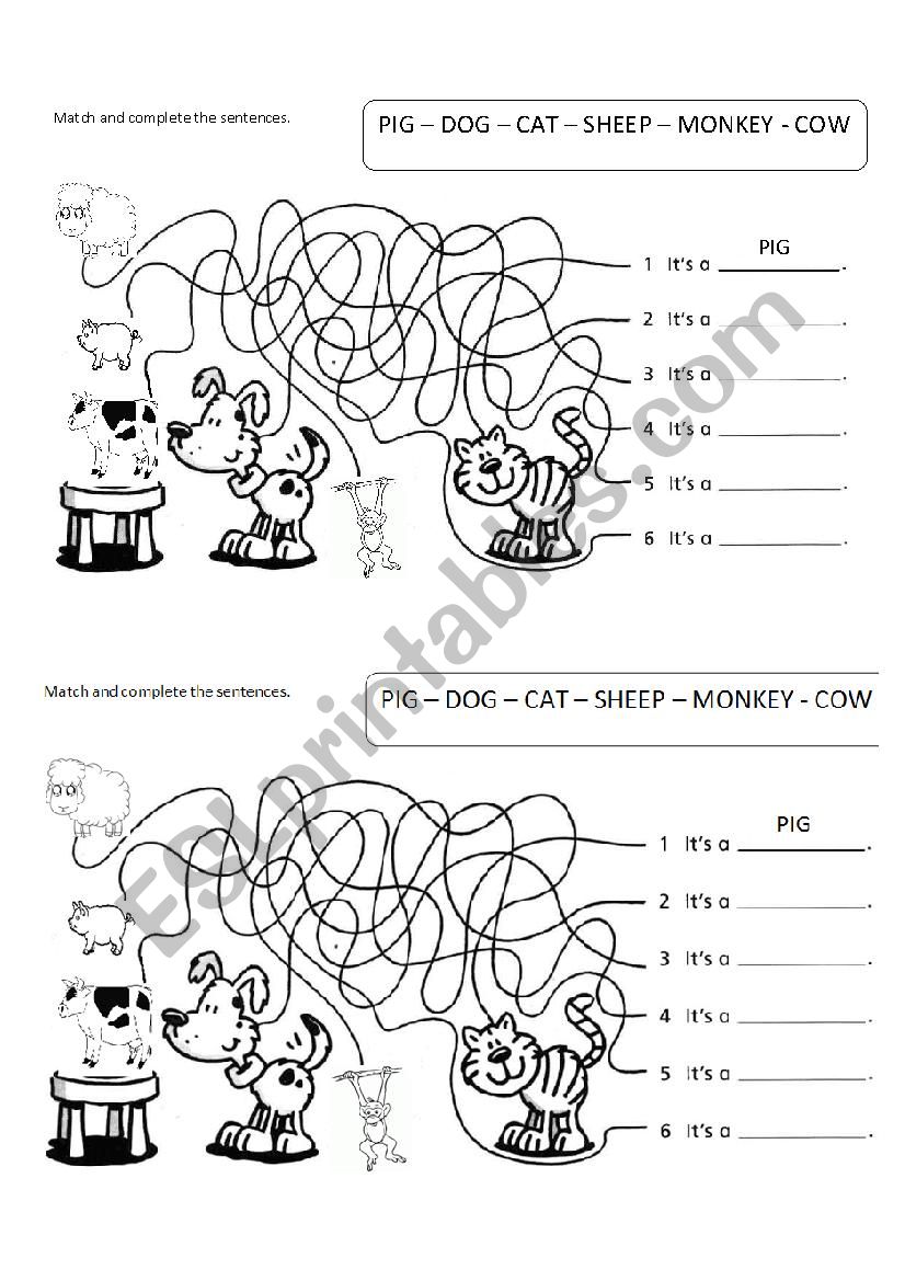 Animals worksheet