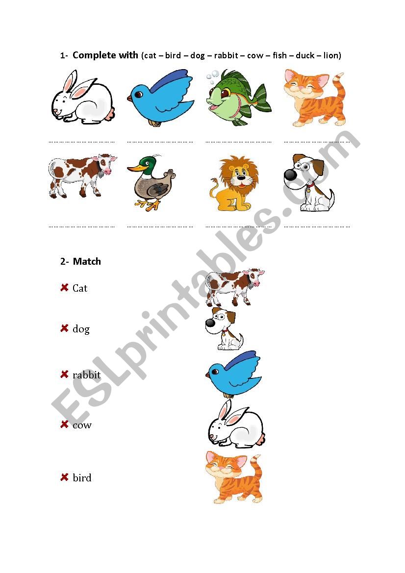 animals worksheet