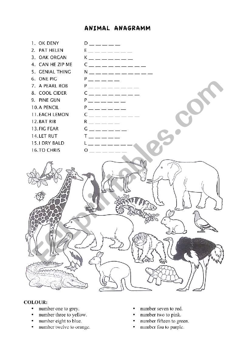 Animal anagram worksheet