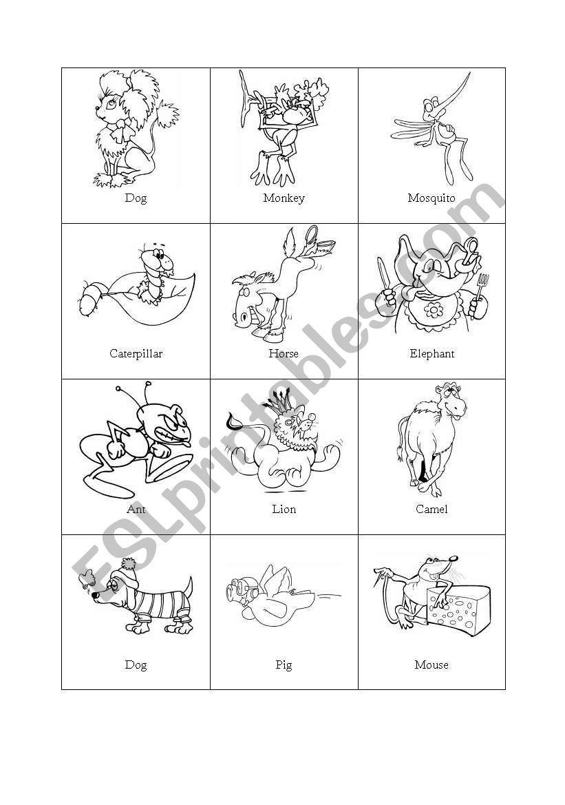 comparing animals worksheet