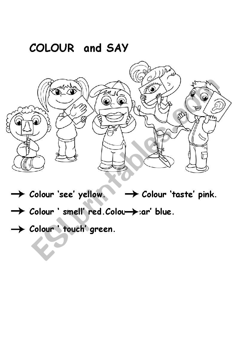 five senses worksheet