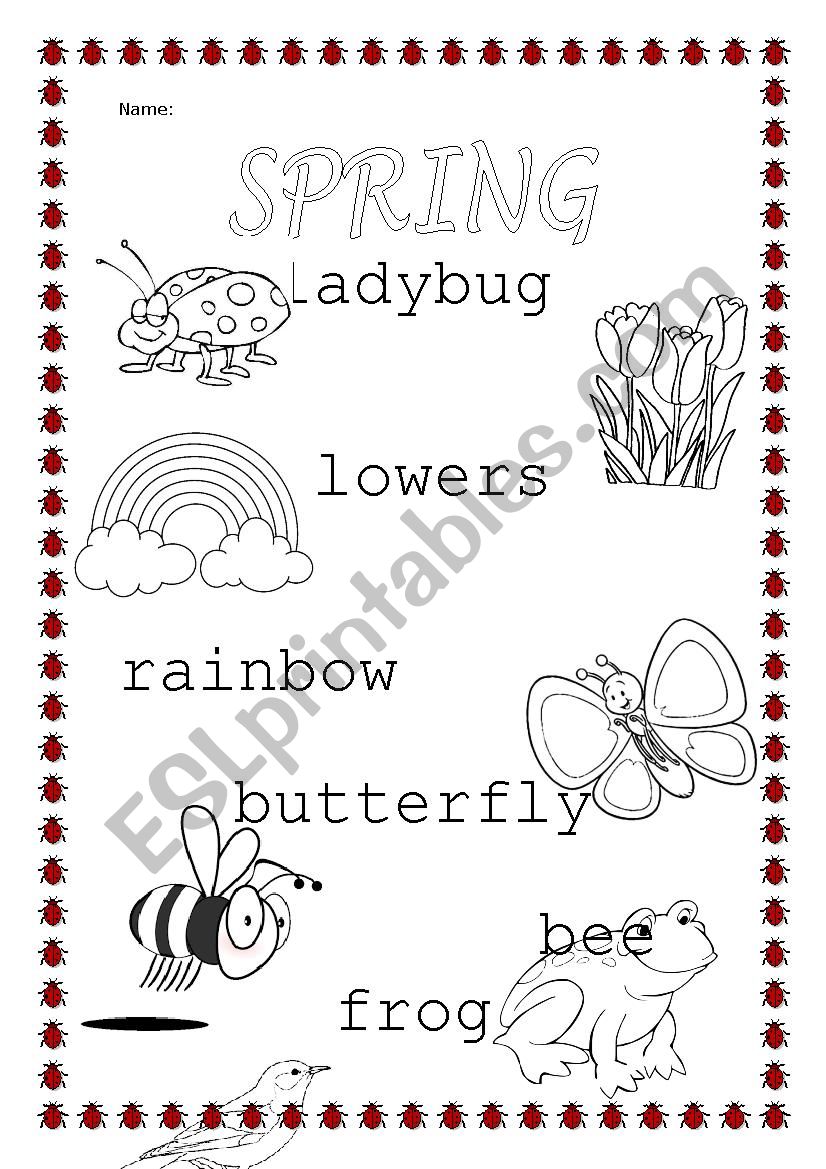 Spring worksheet