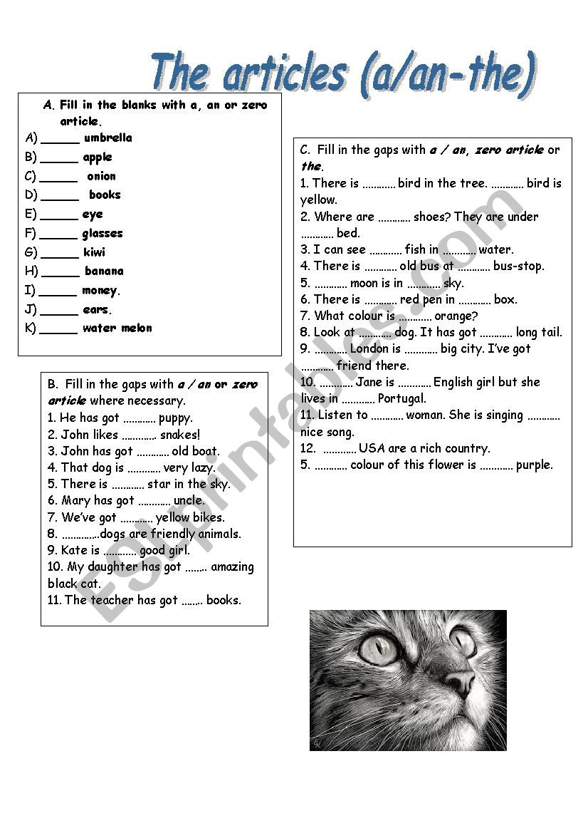 Articles worksheet