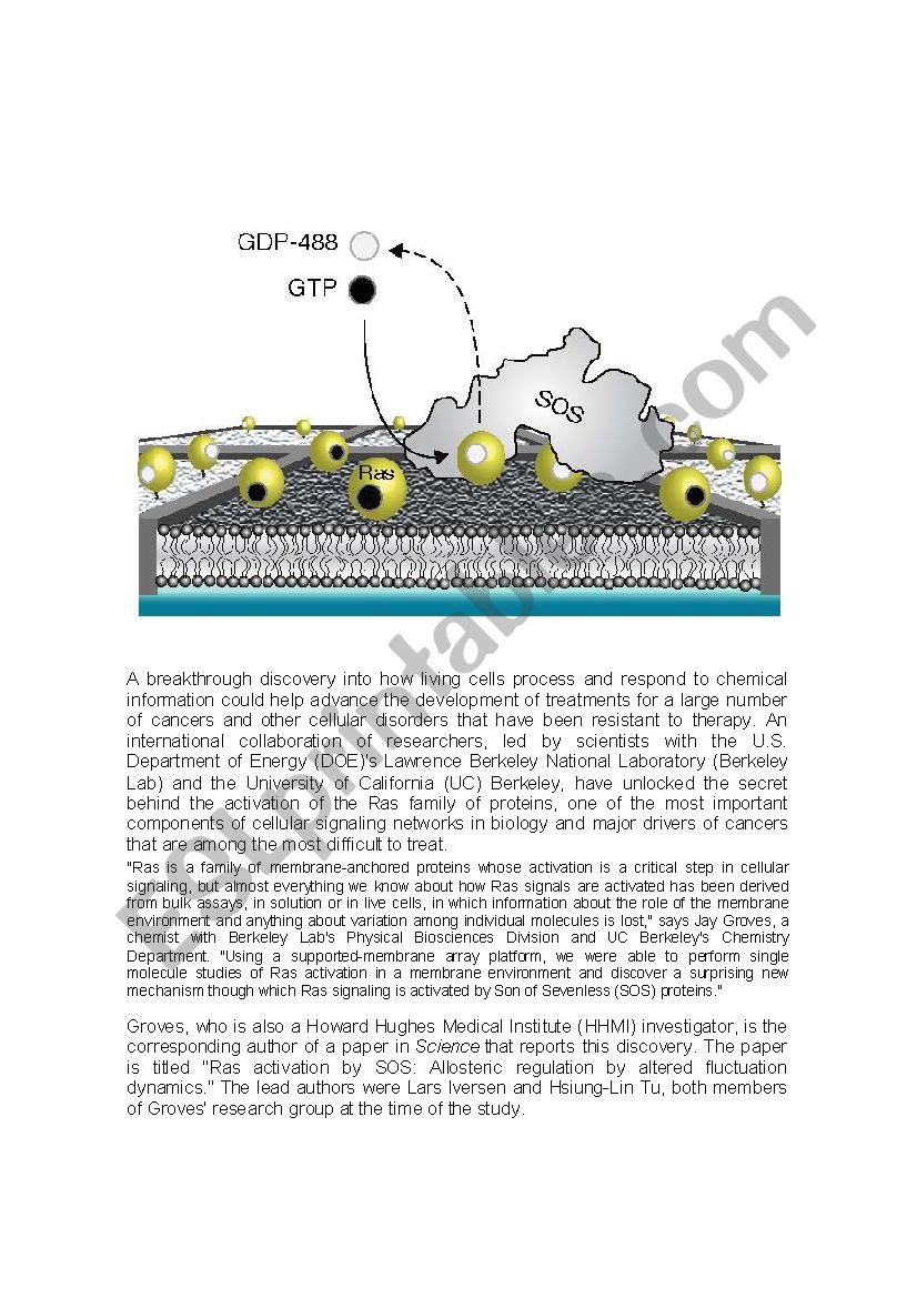 CELL SIGNALING READING COMPREHENSION