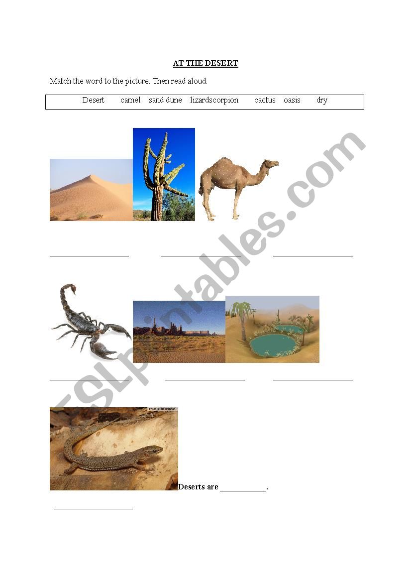 At the Desert worksheet