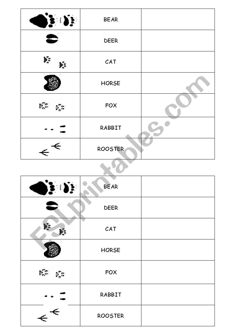 Animals tracks worksheet