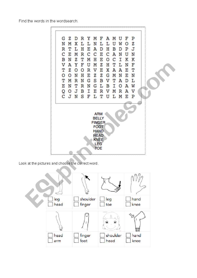 Body worksheet worksheet