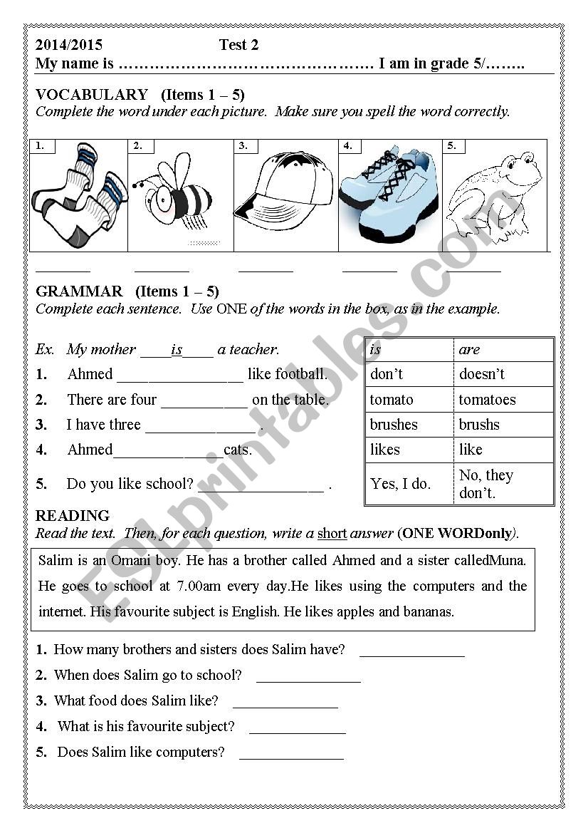 grade 5 test worksheet