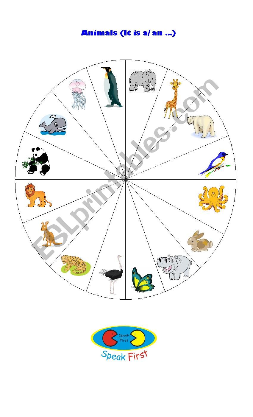 animals worksheet