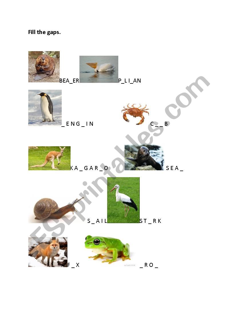 animals- fill the gaps worksheet