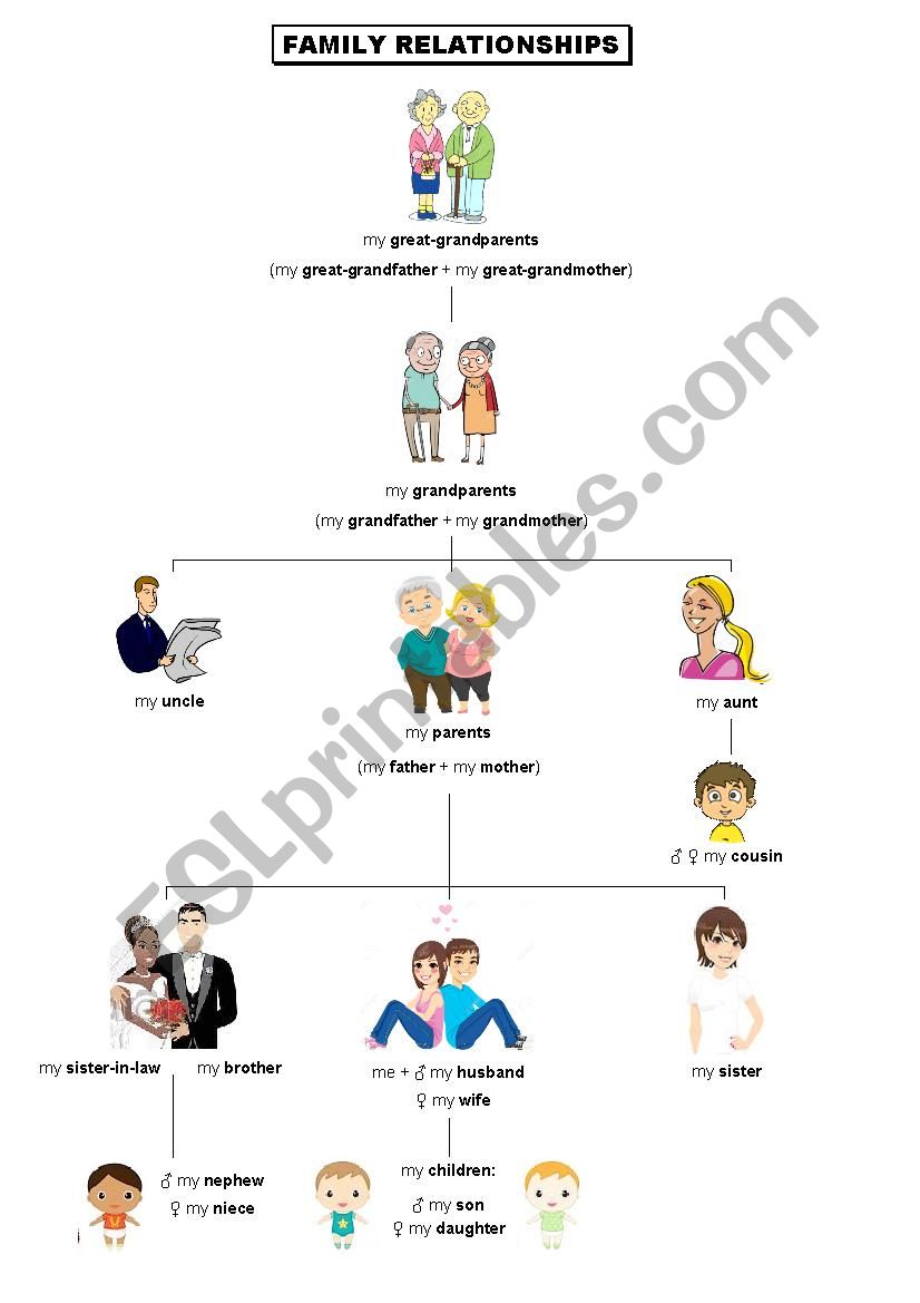 Family relationships worksheet