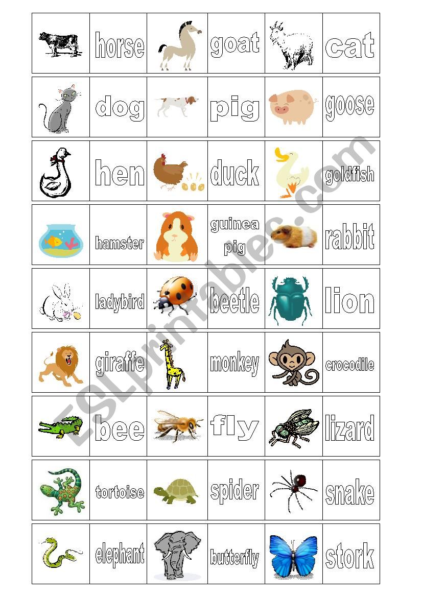 animals game worksheet