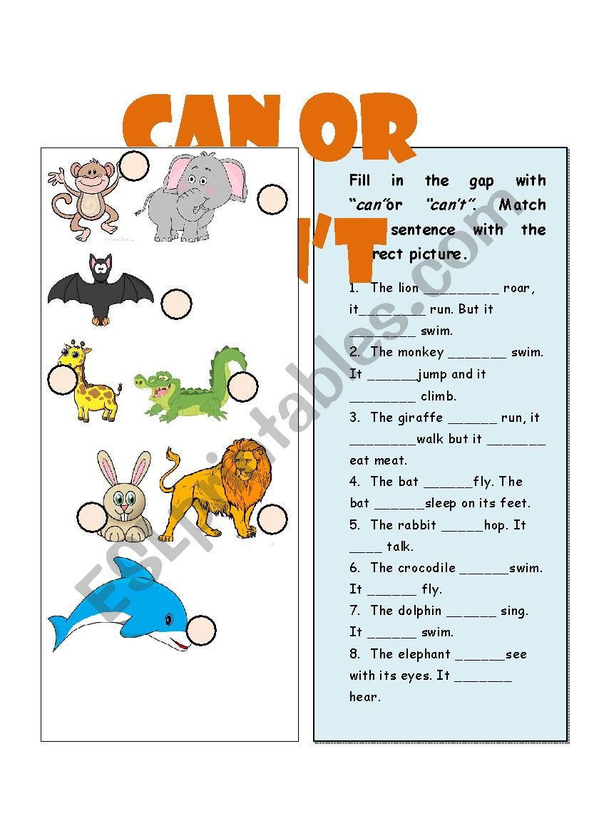 animal ( can or cant) worksheet