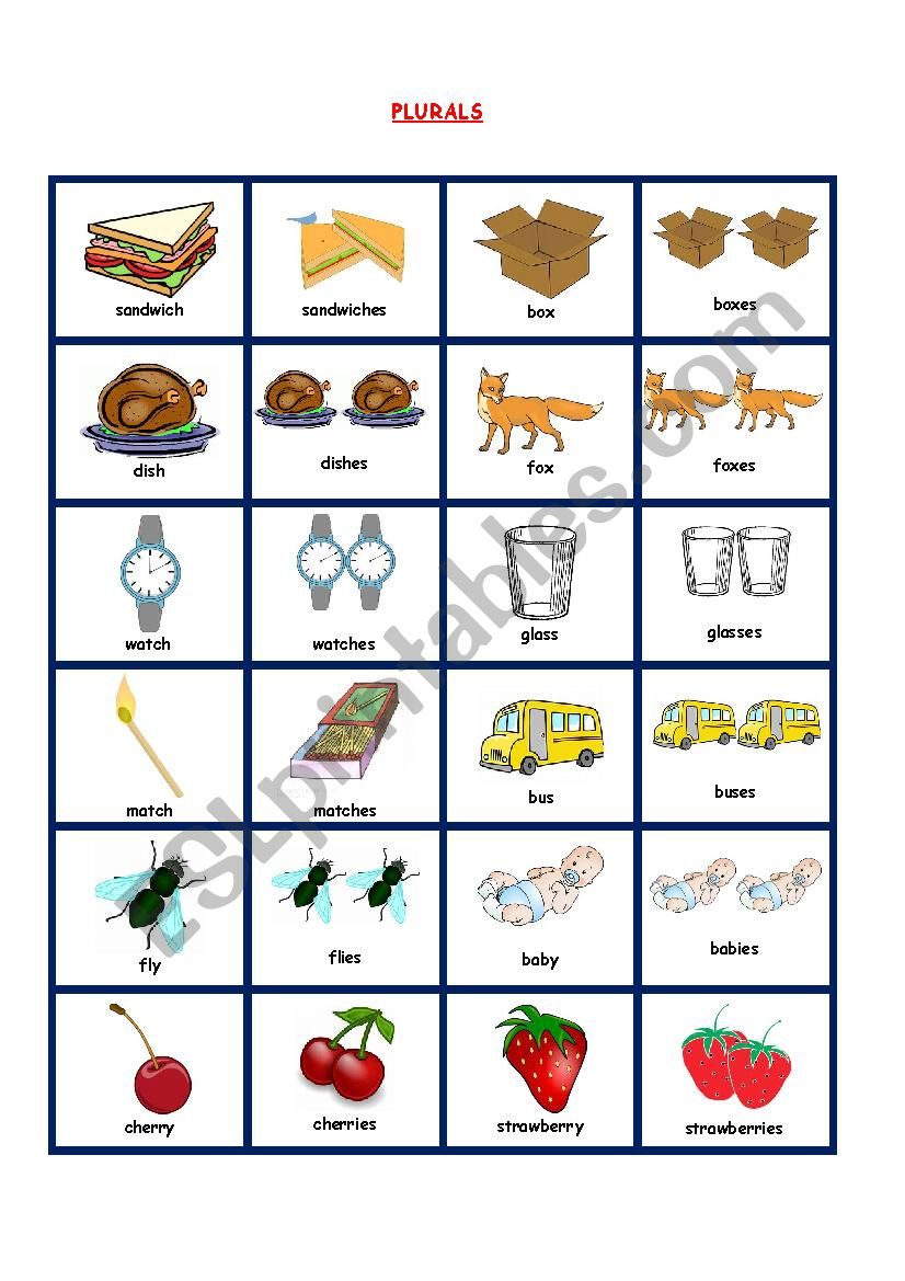 PLURALS PICTIONARY worksheet