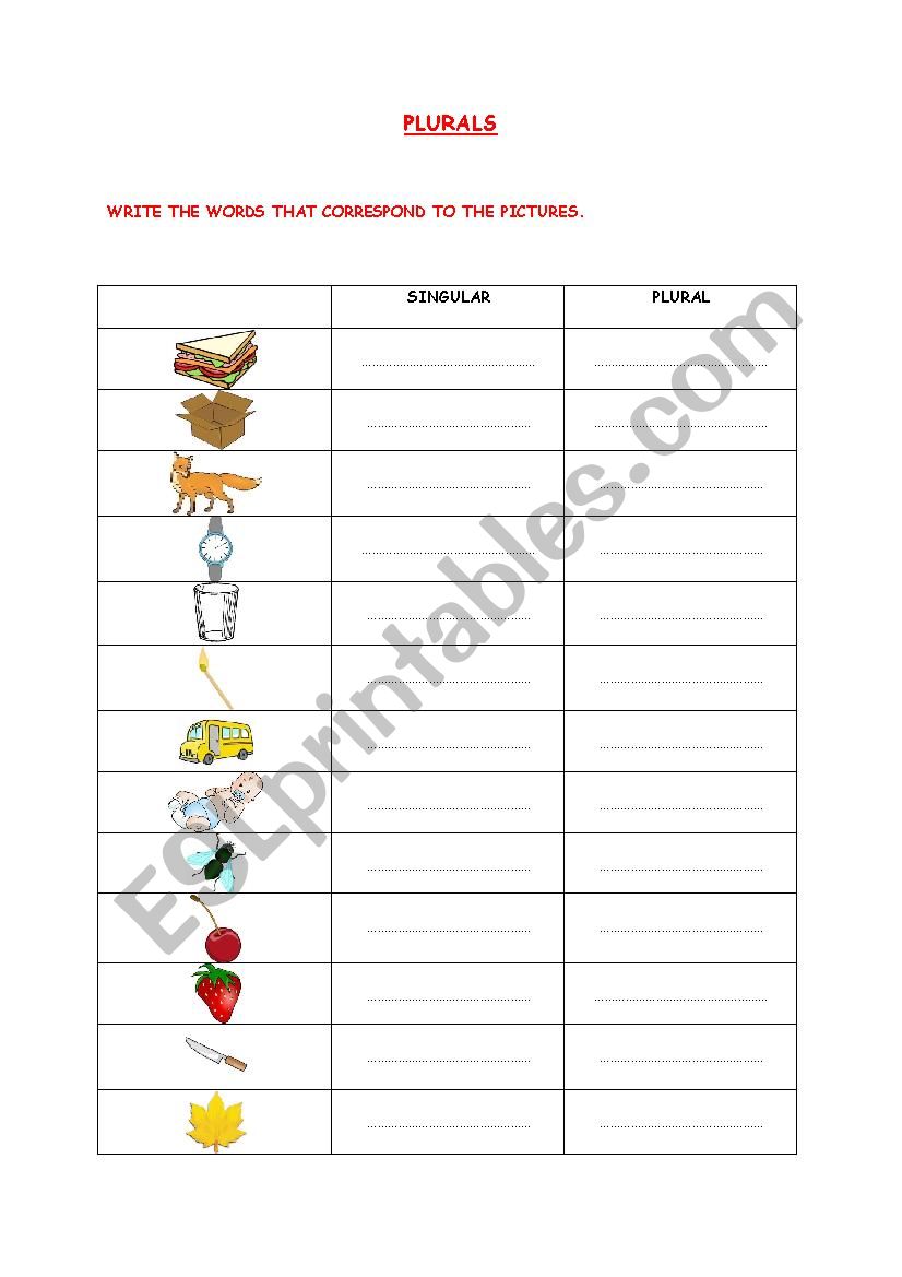 PLURALS WORSHEET worksheet