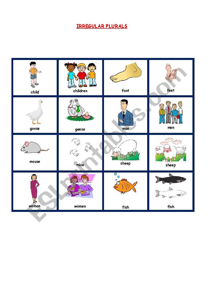 IRREGULAR PLURALS PICTIONARY worksheet