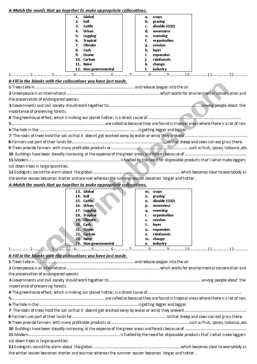 Ecology Collcations  worksheet