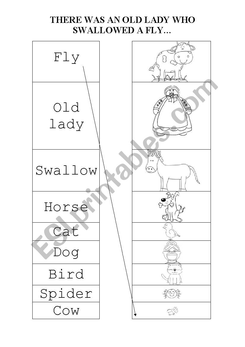 THERE WAS AN OLD LADY WHO SWALLOWED A FLY- VOCABULARY