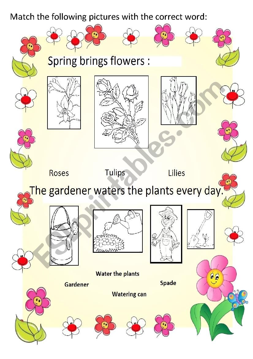 SPRING  & FLOWERS worksheet