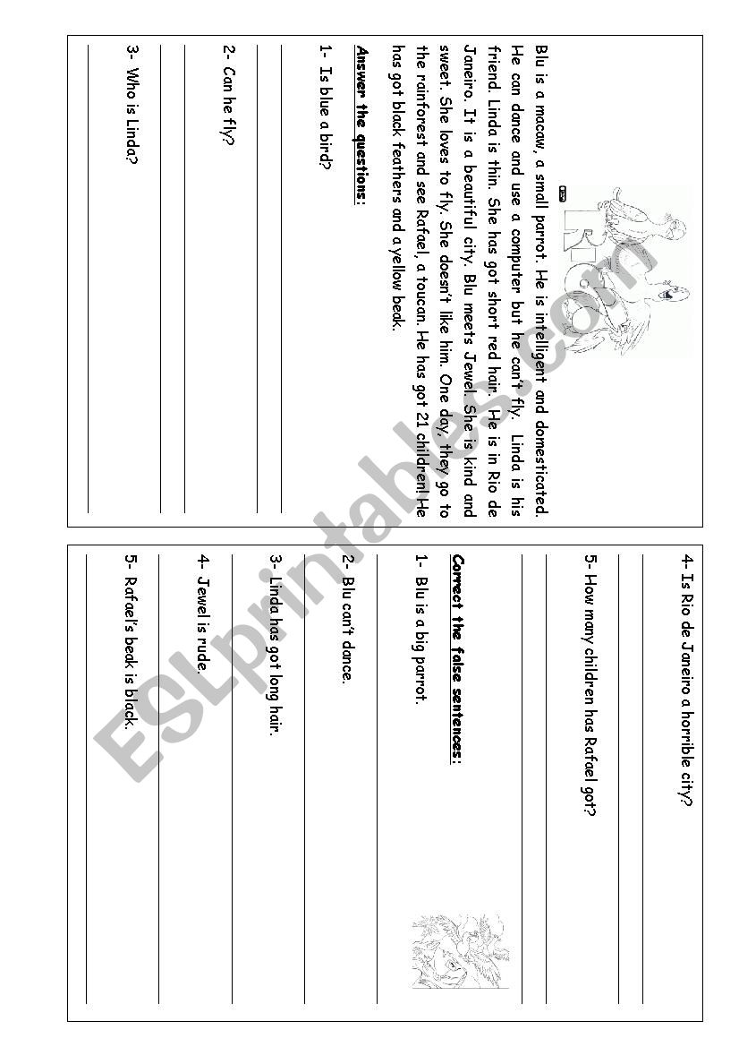 Revision Present simple 2 worksheet