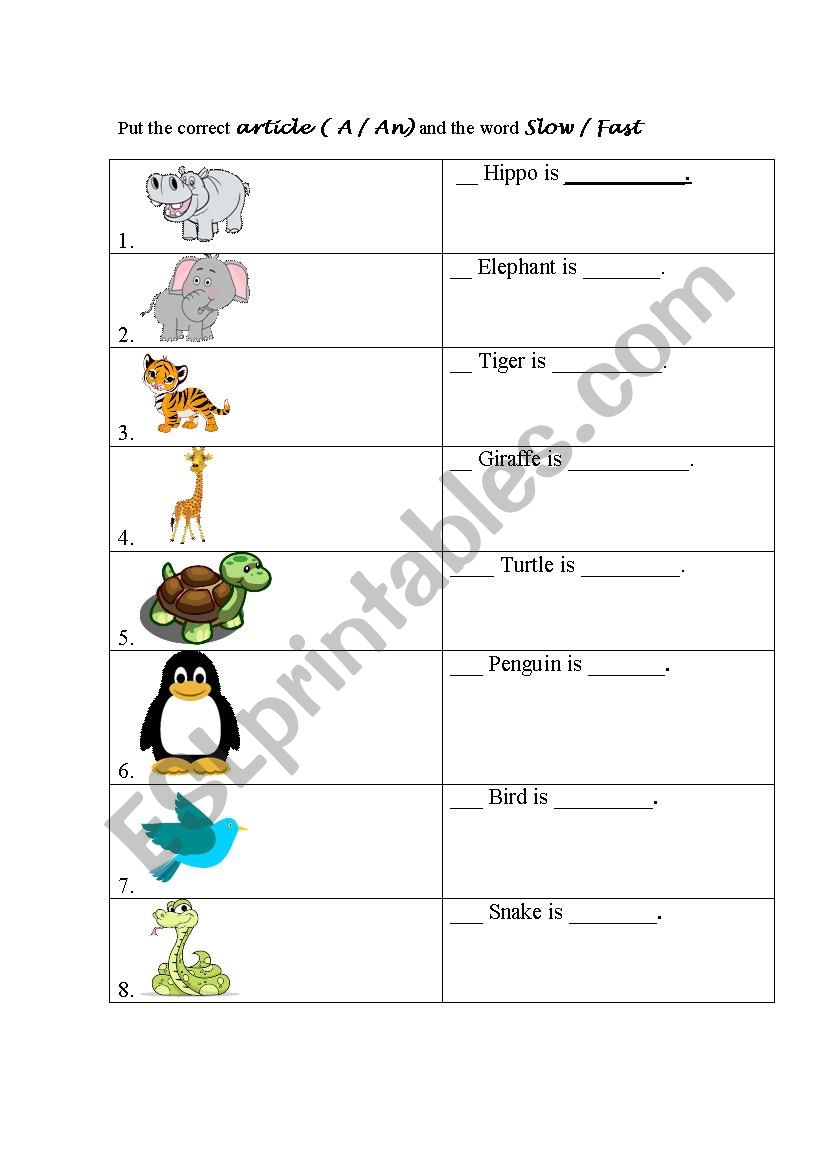 Who is fast and who is slow? worksheet