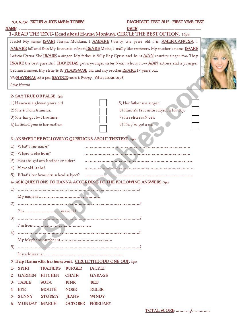 Diagnostic test worksheet