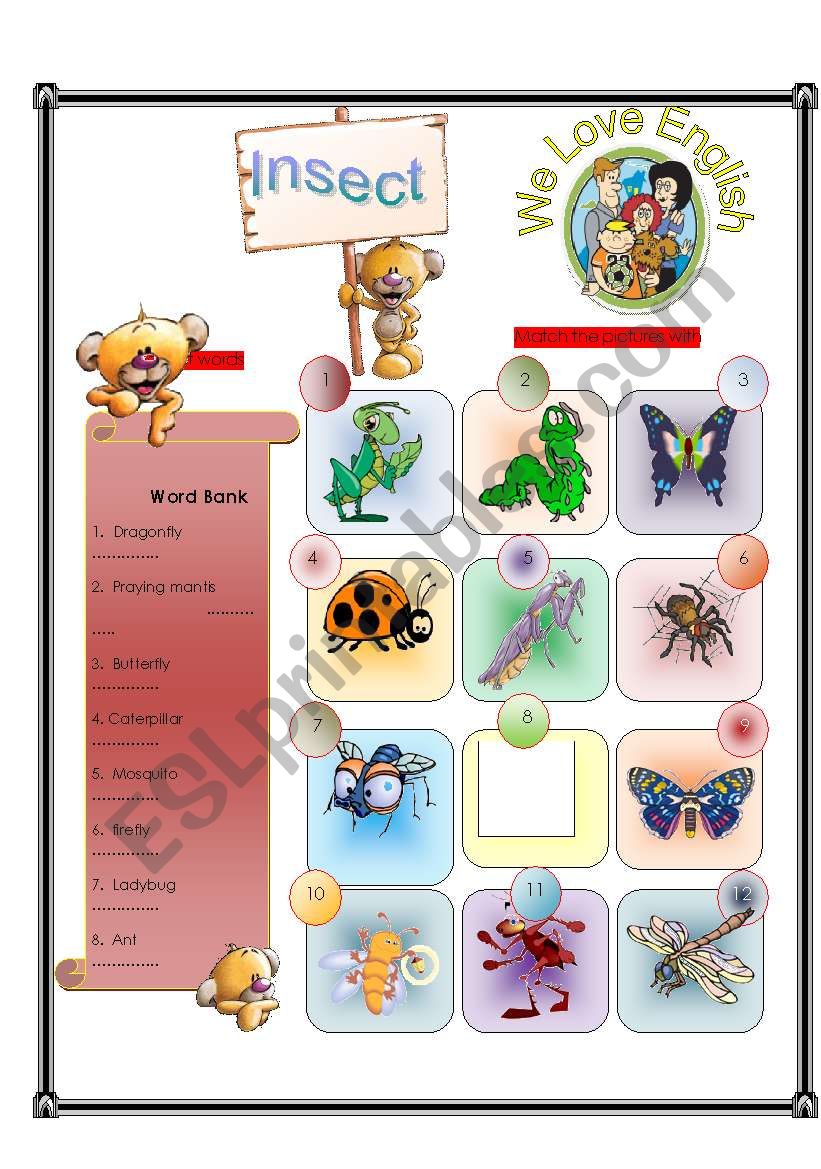 Insect -  Match Part 1/2 worksheet