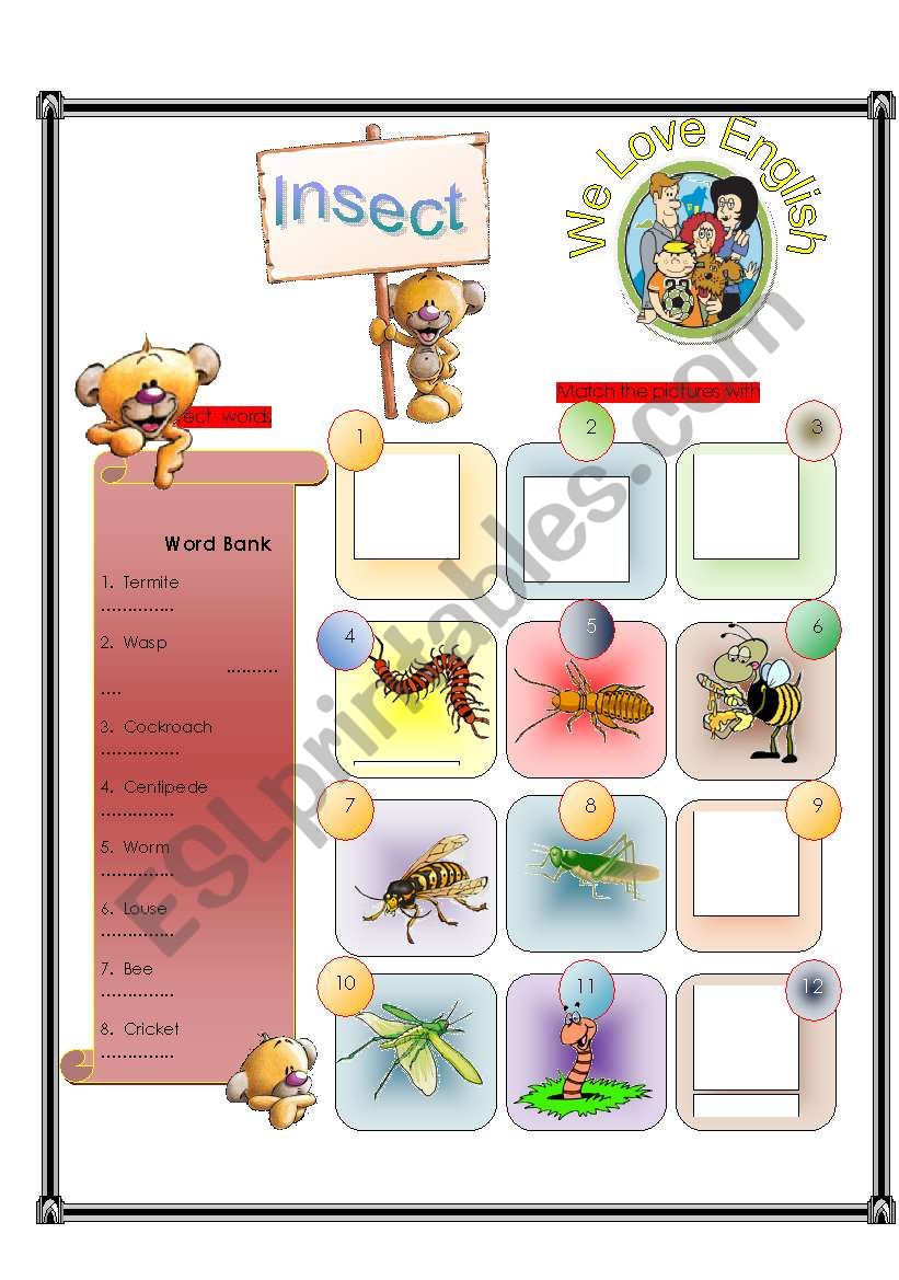 Insect -  Match Part 2/2 worksheet