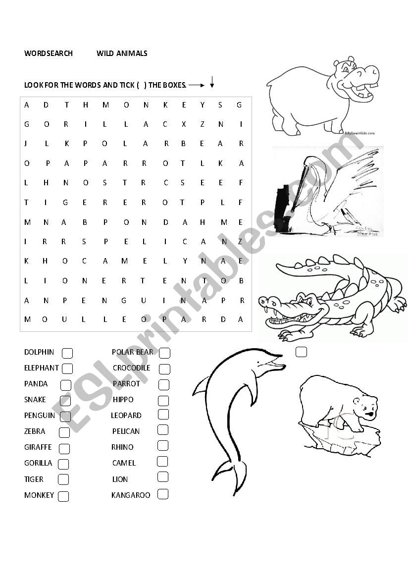 Wild animals worksheet