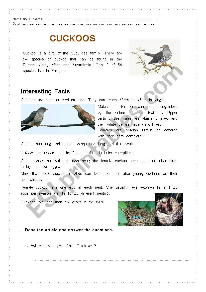 Cuckoos worksheet
