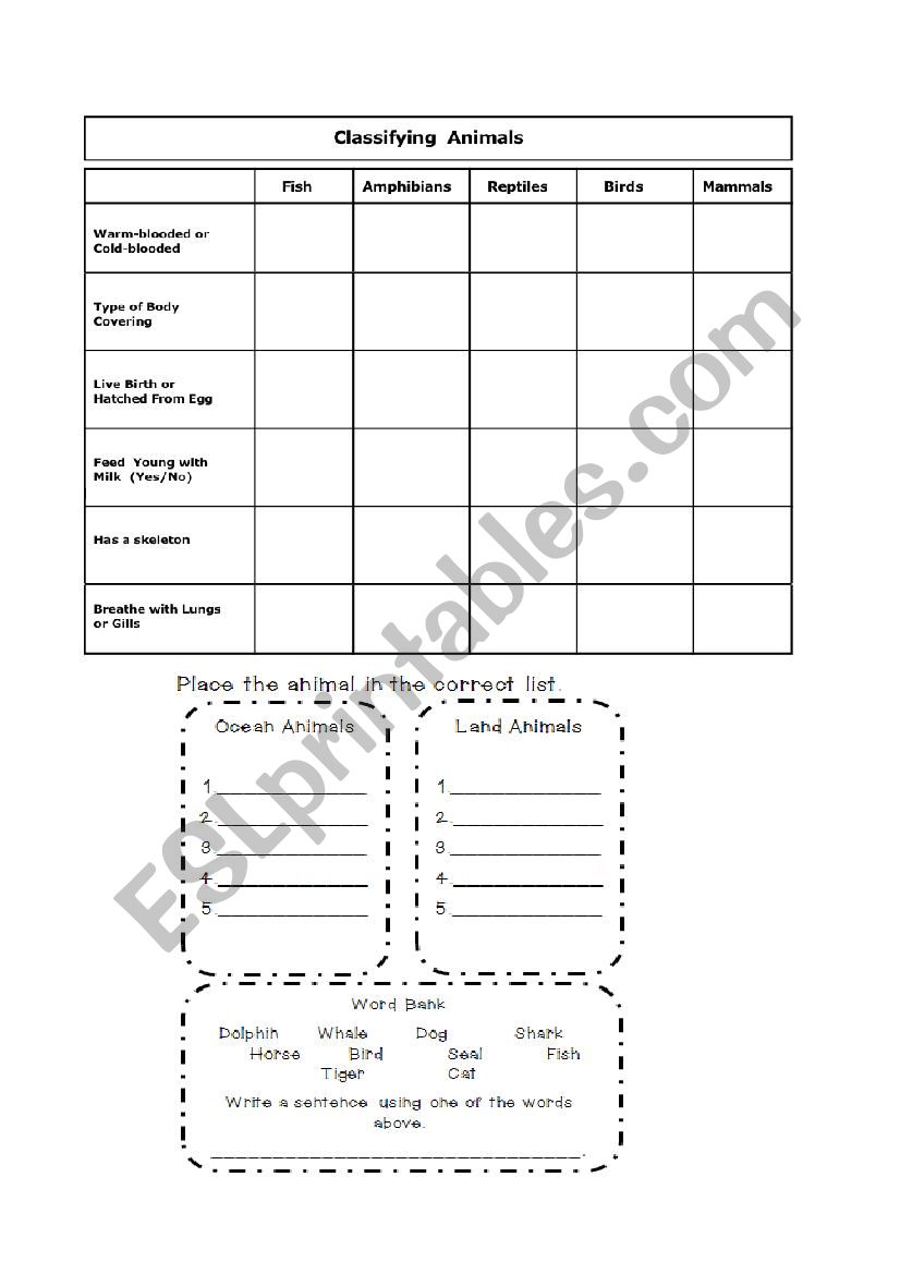 animal clasification worksheet