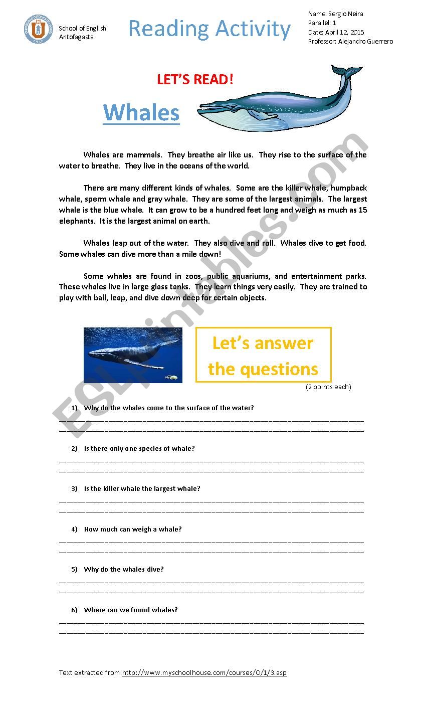 Whales - reading activity worksheet