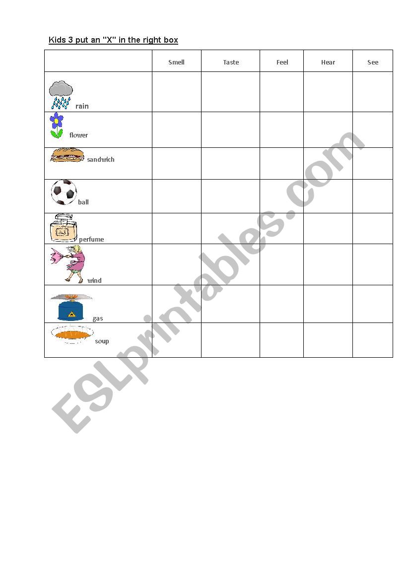 five senses  worksheet