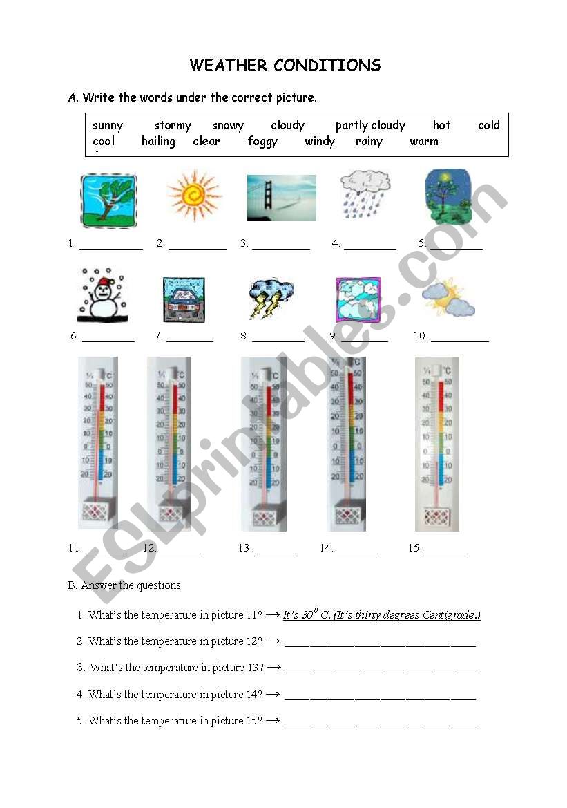 WEATHER CONDITIONS worksheet