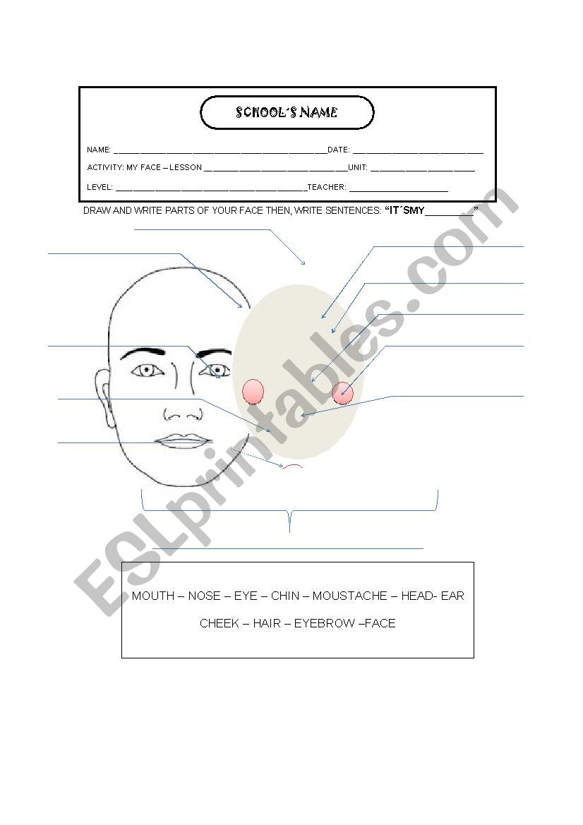 MY FACE worksheet