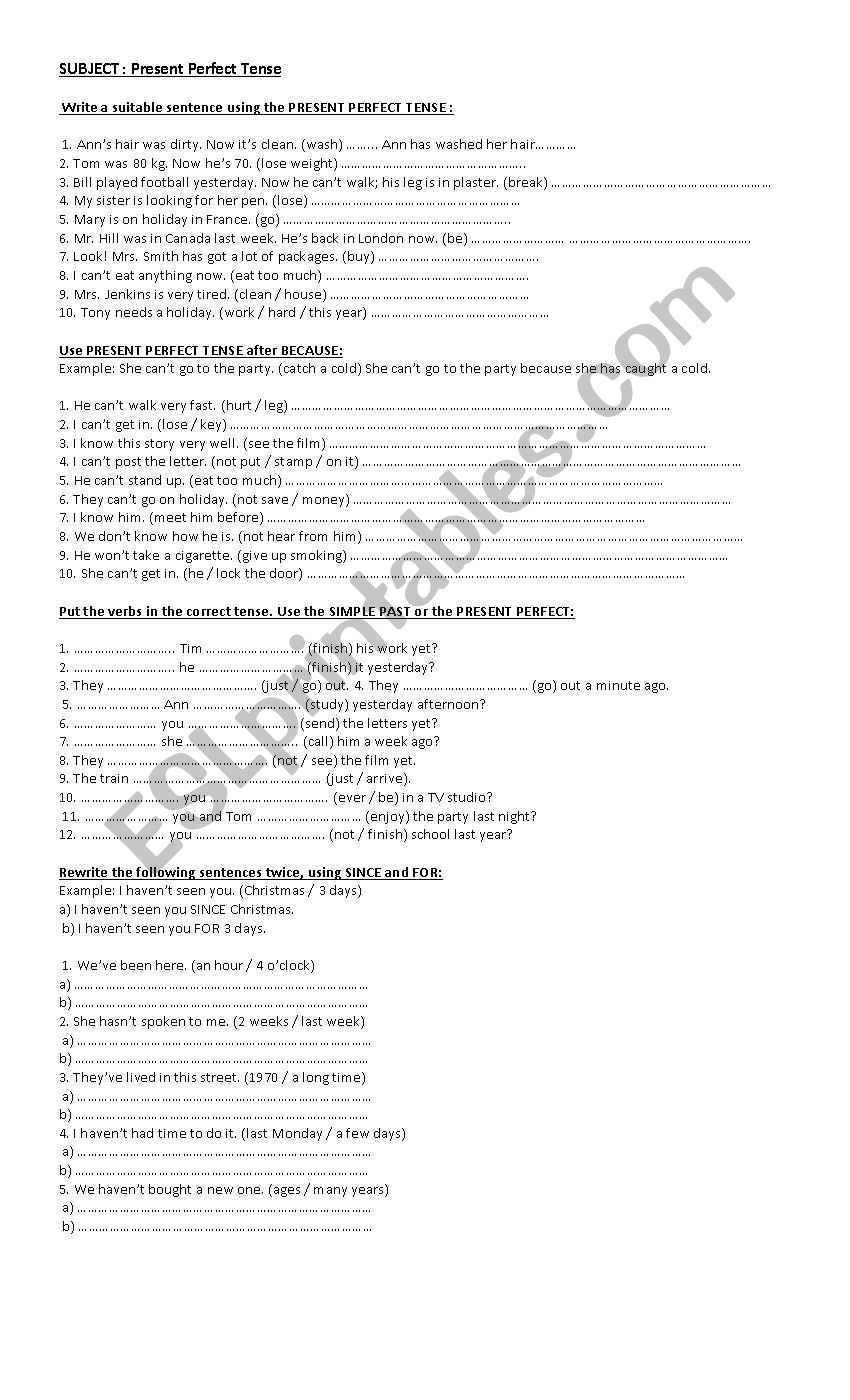 Present Perfect worksheet