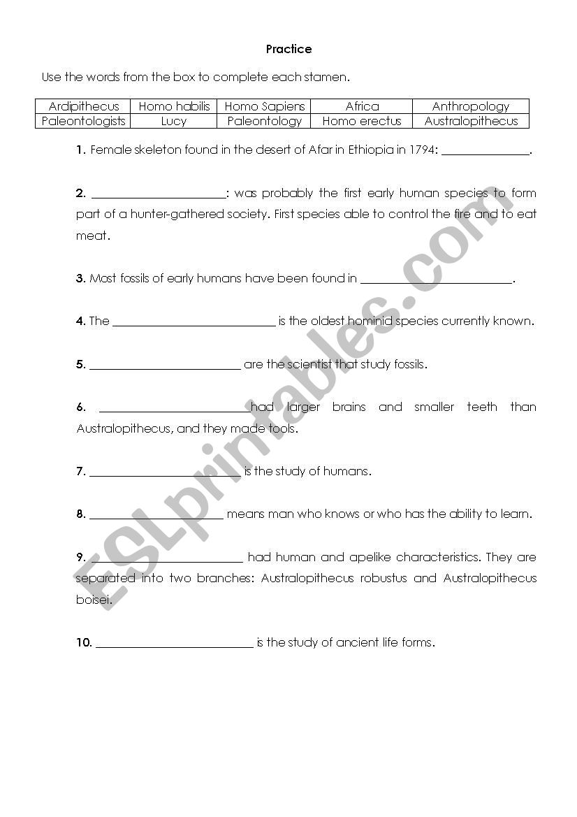 Human Evolution worksheet