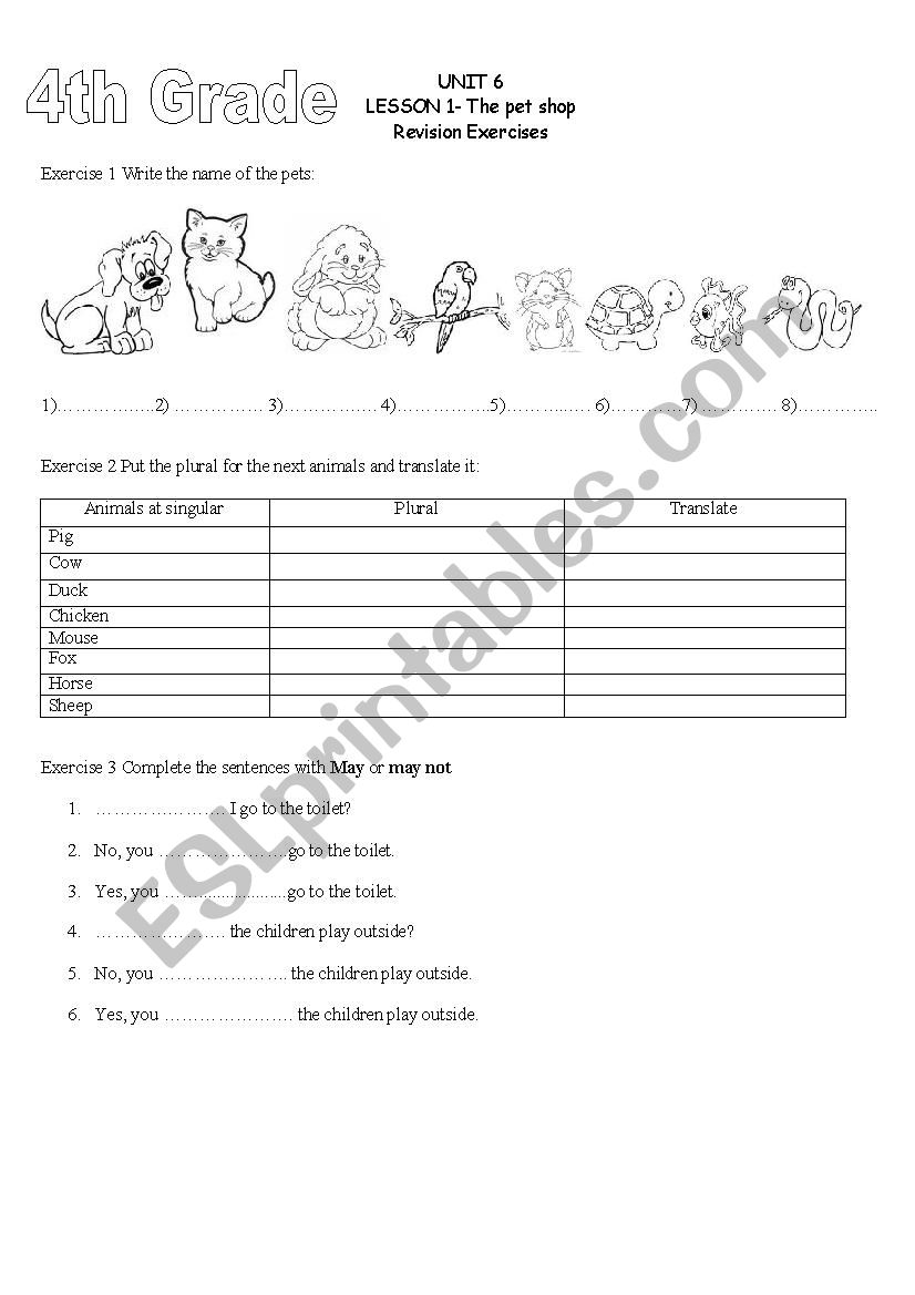 animals worksheet