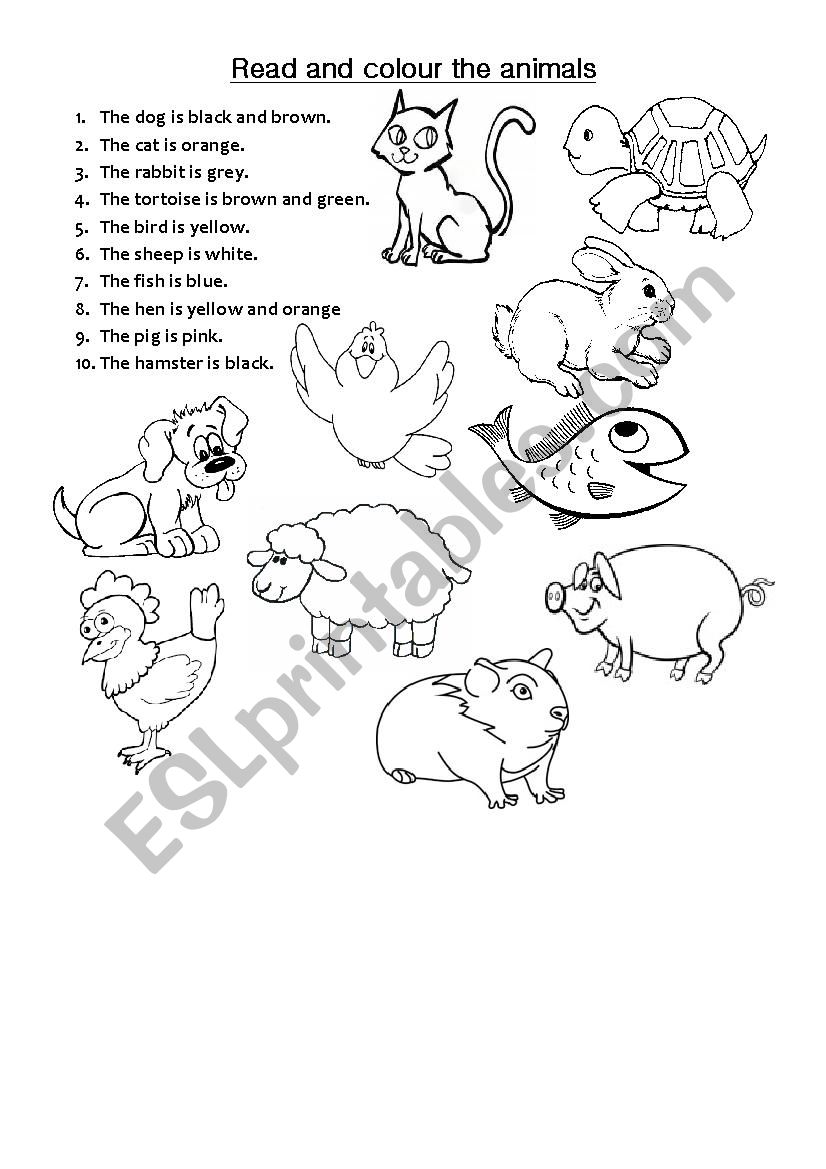 read and coulor the animals worksheet