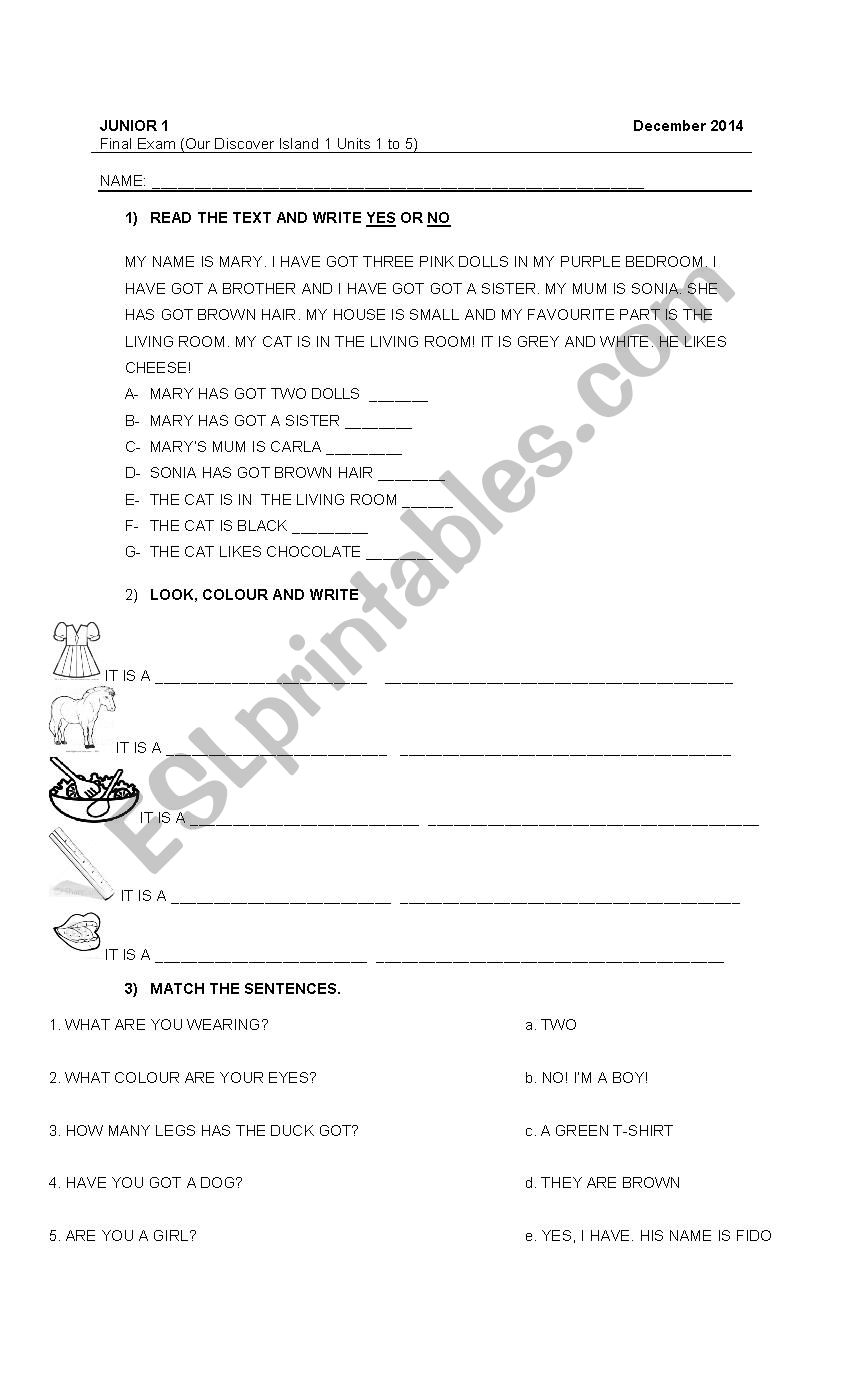 TEST for Junior Beginners worksheet